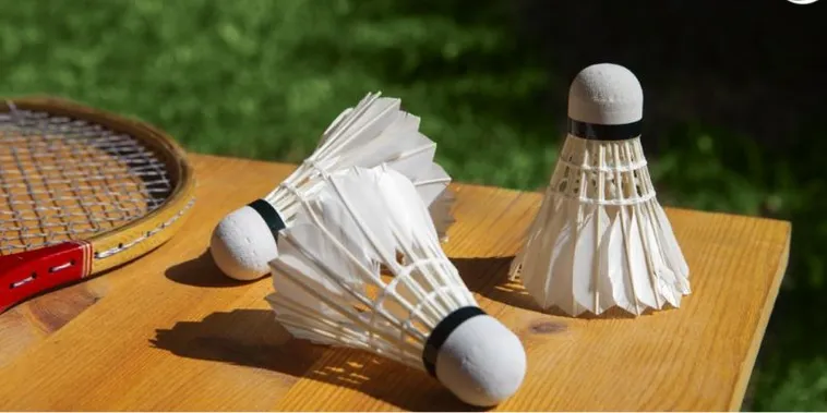 Chinh Phục Kèo Cược Cầu Lông SV388 Với Chiến Thuật Bất Bại 2 Chinh Phục Kèo Cược Cầu Lông SV388 Với Chiến Thuật Bất Bại