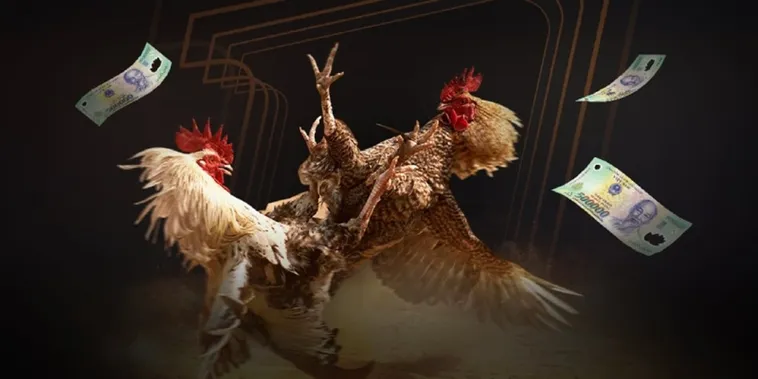 Đá Gà SV388 Trực Tiếp Đỉnh Cao Chinh Phục Mọi Kèo Cược Ngay 1 Đá Gà SV388 Trực Tiếp Đỉnh Cao Chinh Phục Mọi Kèo Cược Ngay