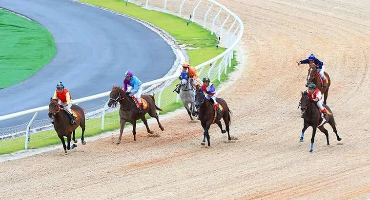 Kinh Nghiệm Cá Cược Đua Ngựa SV388 Giúp Bạn Về Bờ An Toàn 1 Kinh Nghiệm Cá Cược Đua Ngựa SV388 Giúp Bạn Về Bờ An Toàn